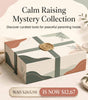 Big Mystery Box